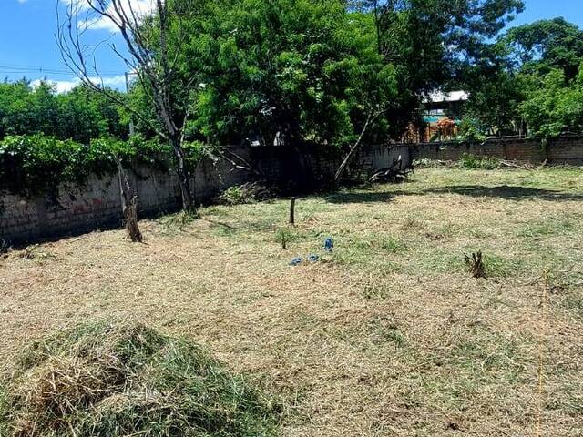 #1016 - Terreno para Venda em Araçoiaba da Serra - SP - 3